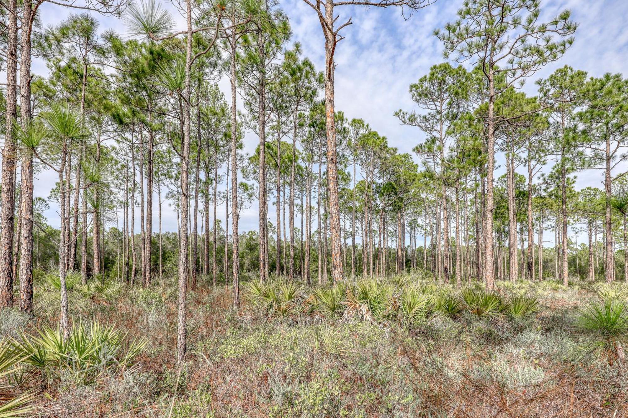 Village Of South Walton B247 Inlet Beach 외부 사진